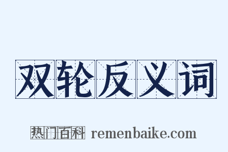 双轮反义词是什么意思的图片